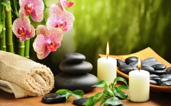 Seasonal Wellness: The Best Spa Treatments for Every Season